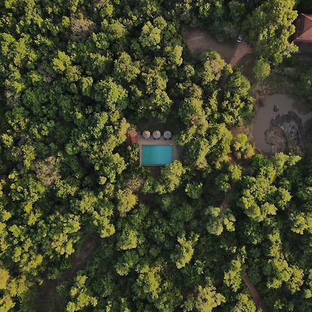 Wild Grass Nature Resort Сигирия Экстерьер фото