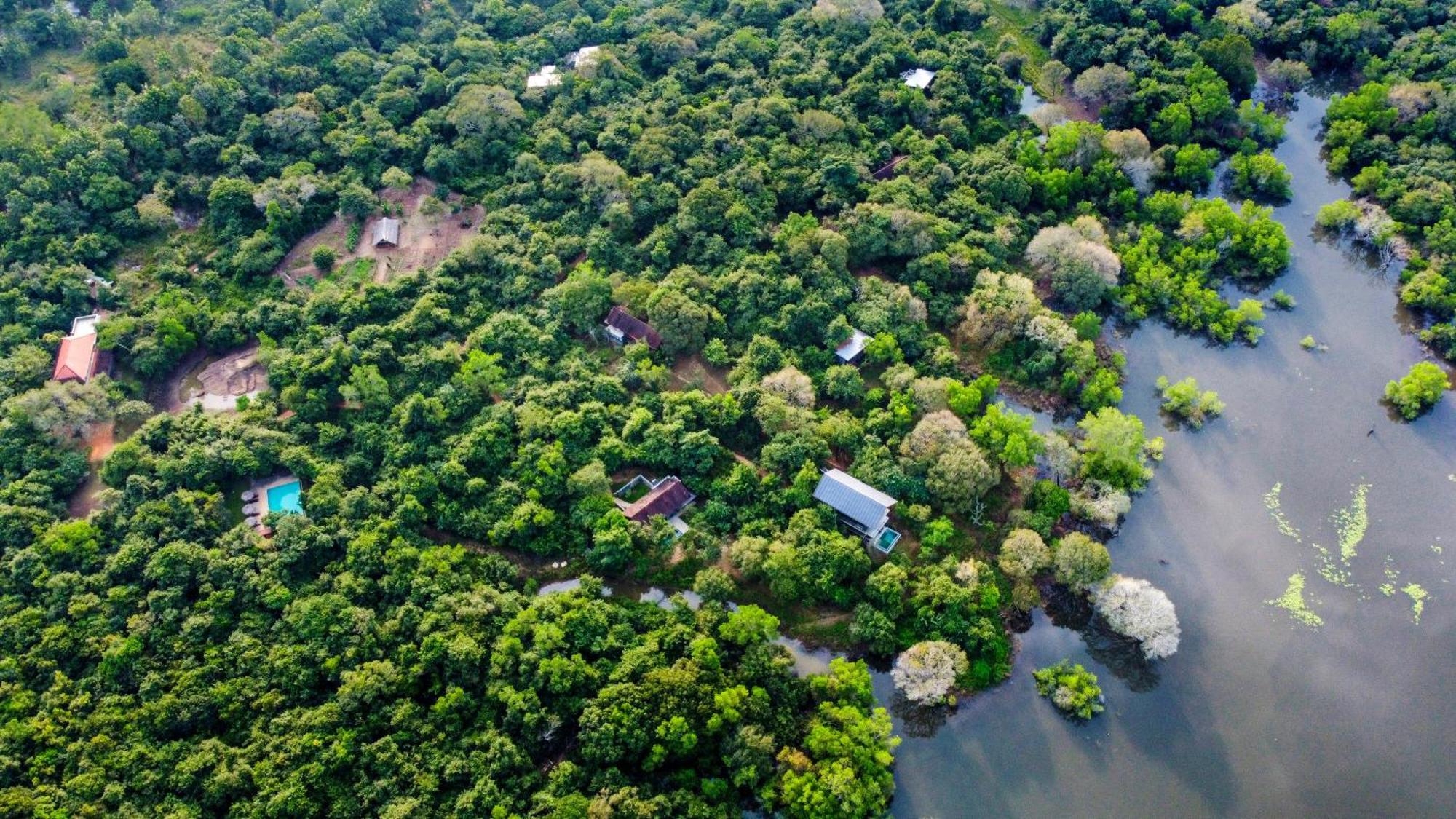 Wild Grass Nature Resort Сигирия Экстерьер фото