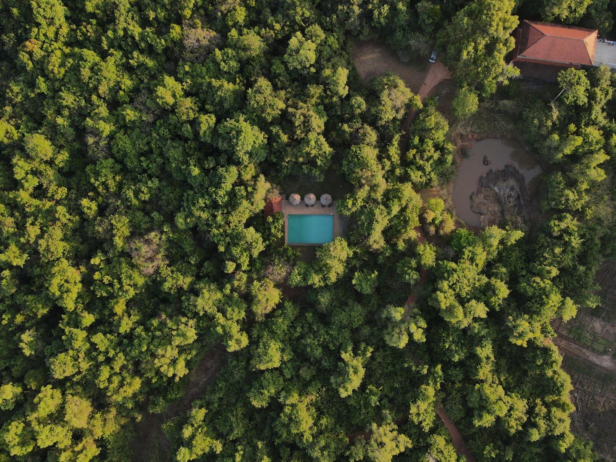 Wild Grass Nature Resort Сигирия Экстерьер фото